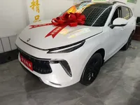 FORTHING T5 EVO 2021 (15300 км)