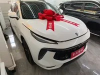 FORTHING T5 EVO 2021 (15300 км)