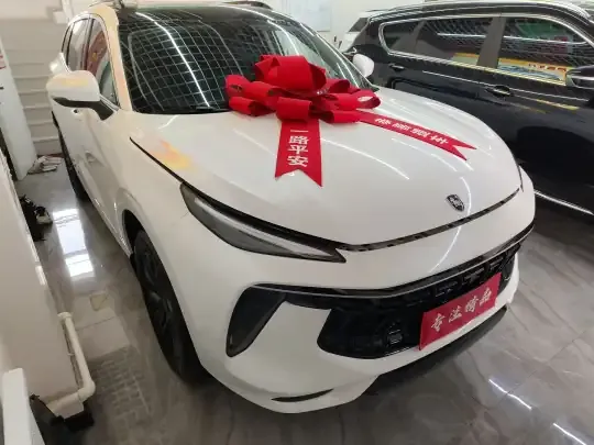 FORTHING T5 EVO 2021 (15300 км)