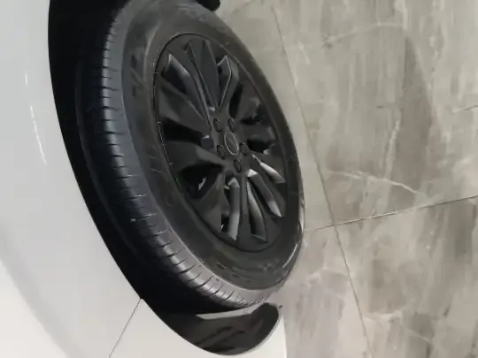 FORTHING T5 EVO 2021 (15300 км)