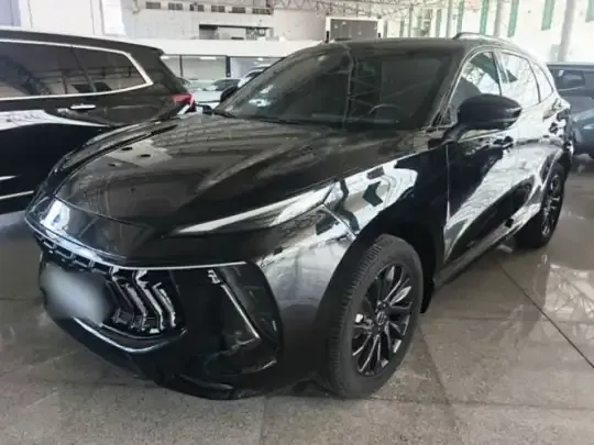 FORTHING T5 EVO 2021 (17600 км)