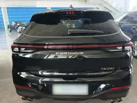 FORTHING T5 EVO 2021 (17600 км)