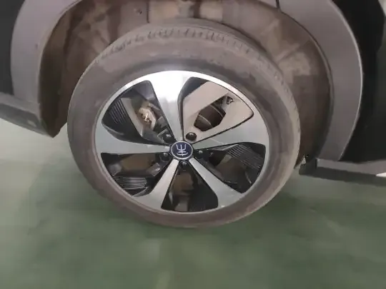 BYD Song PLUS New Energy 2021 (64800 км)