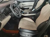 BYD Song PLUS New Energy 2021 (64800 км)