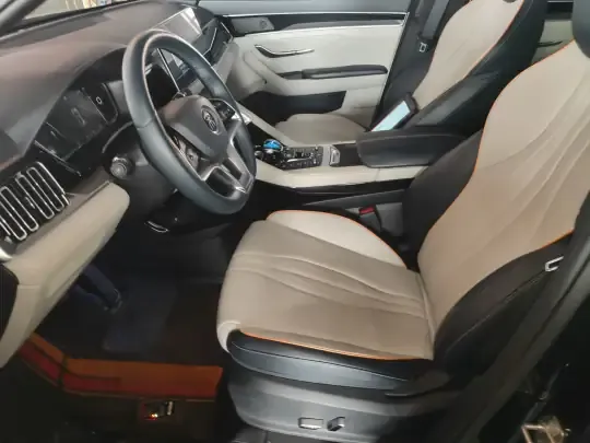 BYD Song PLUS New Energy 2021 (64800 км)