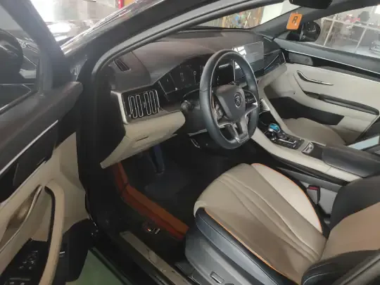 BYD Song PLUS New Energy 2021 (64800 км)