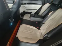 BYD Song PLUS New Energy 2021 (64800 км)