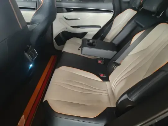 BYD Song PLUS New Energy 2021 (64800 км)