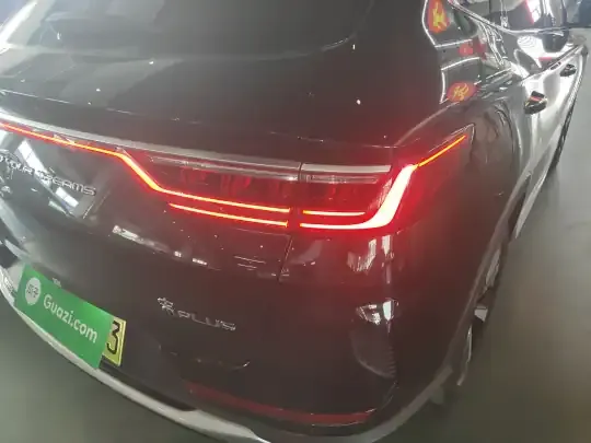 BYD Song PLUS New Energy 2021 (64800 км)