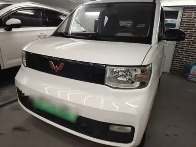 Wuling Hongguang MINIEV 2021 (32400 км)