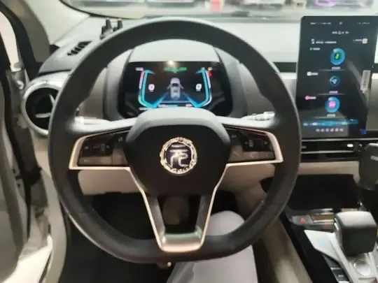 BYD Yuan Pro 2021 (91900 км)