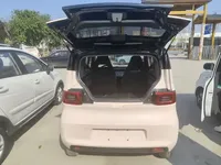 Wuling Hongguang MINIEV 2021 (35200 км)