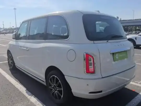 Lorinser LX 2021 (27700 км)