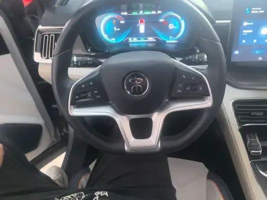 BYD Song PLUS New Energy 2021 (99000 км)