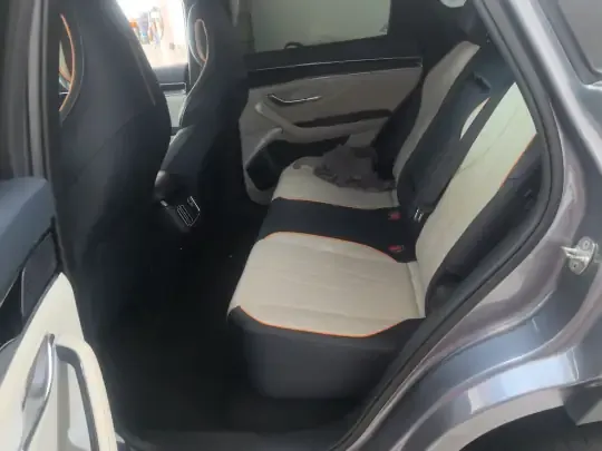 BYD Song PLUS New Energy 2021 (99000 км)