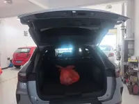 BYD Song PLUS New Energy 2021 (99000 км)