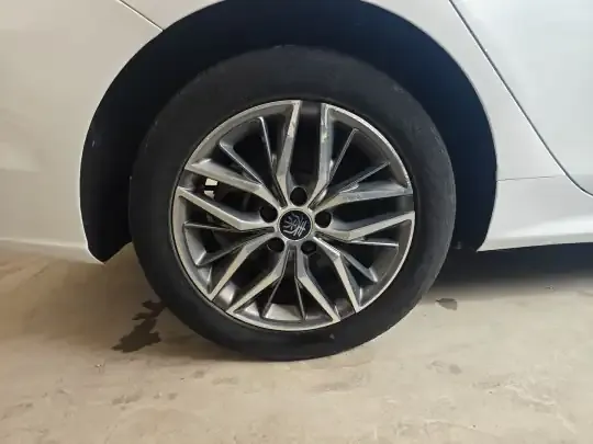 BYD Qin PLUS 2021 (86800 км)