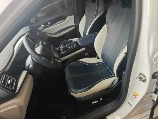 BYD Qin PLUS 2021 (86800 км)