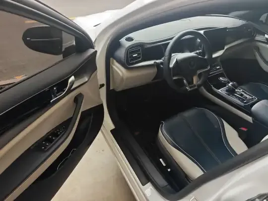 BYD Qin PLUS 2021 (86800 км)
