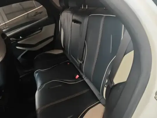 BYD Qin PLUS 2021 (86800 км)