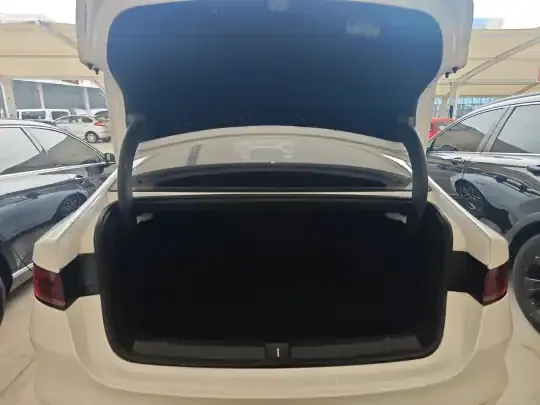 BYD Qin PLUS 2021 (86800 км)