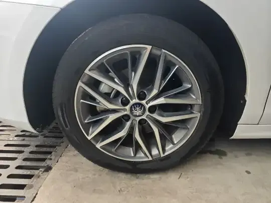 BYD Qin PLUS 2021 (86800 км)