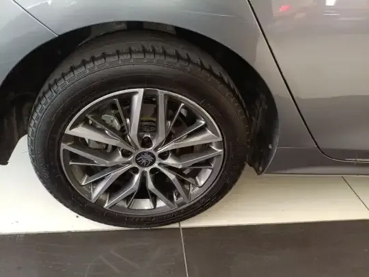 BYD Qin PLUS 2021 (143600 км)