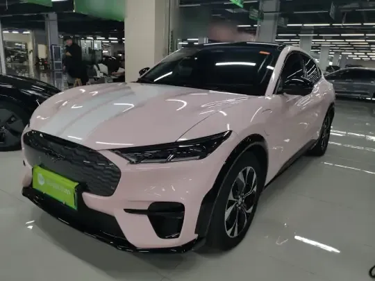 Ford Mustang Mach-E 2021 (45300 км)