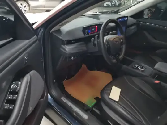 Ford Mustang Mach-E 2021 (45300 км)