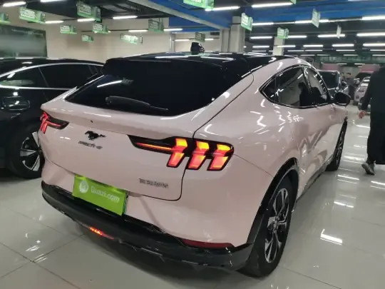 Ford Mustang Mach-E 2021 (45300 км)
