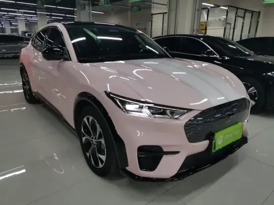 Ford Mustang Mach-E 2021 (45300 км)