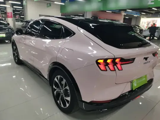 Ford Mustang Mach-E 2021 (45300 км)