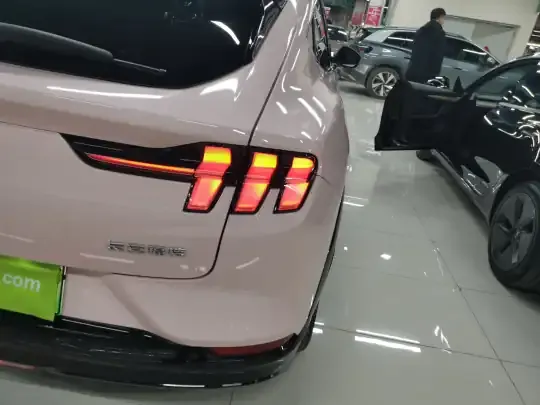 Ford Mustang Mach-E 2021 (45300 км)