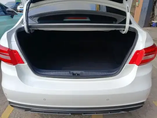 FORTHING S50 2021 (177000 км)