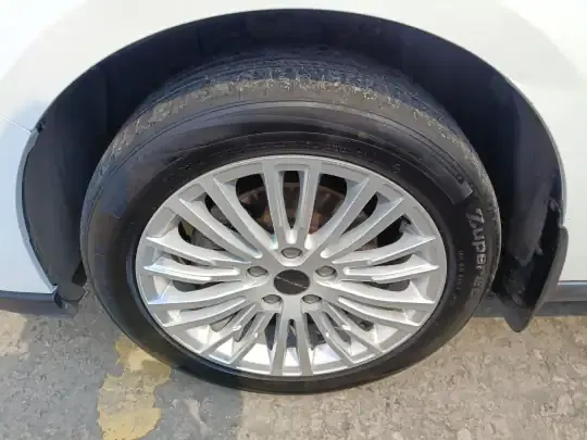 FORTHING S50 2021 (177000 км)