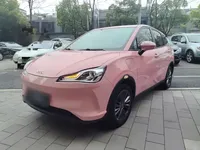 NETA V 2021 (38300 км)