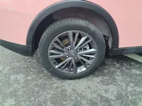 NETA V 2021 (38300 км)
