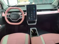 NETA V 2021 (38300 км)