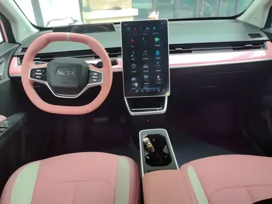 NETA V 2021 (38300 км)