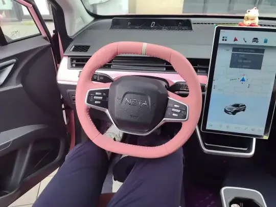 NETA V 2021 (38300 км)