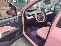NETA V 2021 (38300 км)