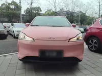 NETA V 2021 (38300 км)