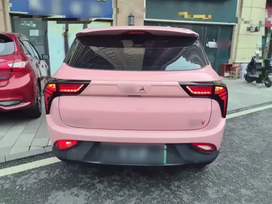 NETA V 2021 (38300 км)