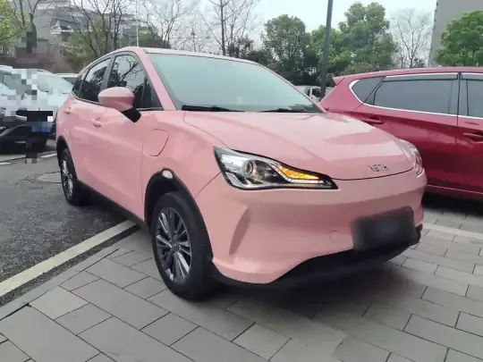 NETA V 2021 (38300 км)