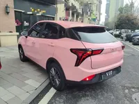 NETA V 2021 (38300 км)