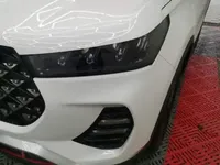 Chery Tiggo 7 2021 (79300 км)
