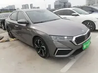 Skoda Octavia 2021 (90500 км)