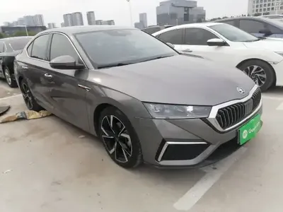 Skoda Octavia 2021 (90500 км)