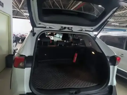 Toyota RAV4 Rongfang Plug-in Hybrid 2021 (47200 км)