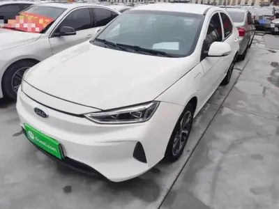 JAC Group iEVA50 2021 (29300 км)